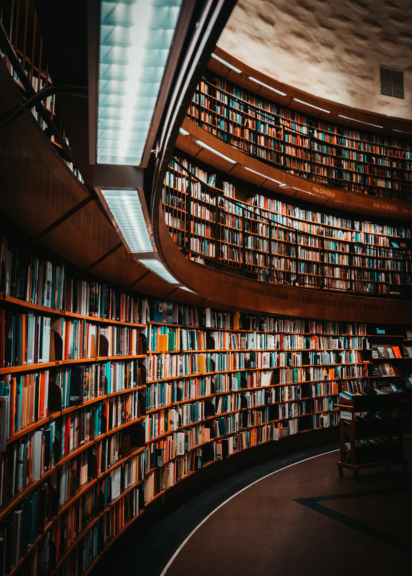 Research setting — the CRM spine metaphor