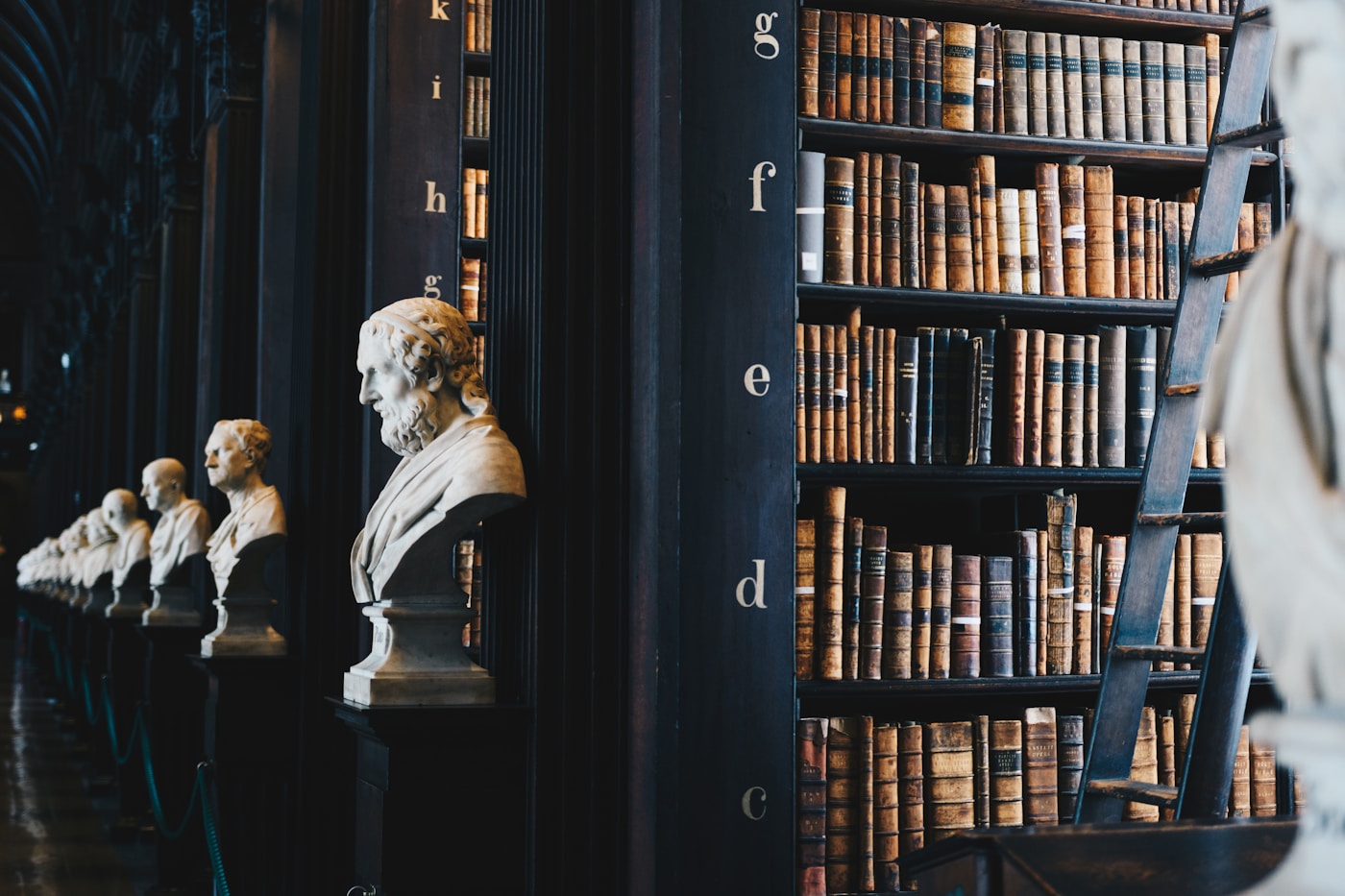 A historic library hall with tall shelves of bound volumes and marble busts