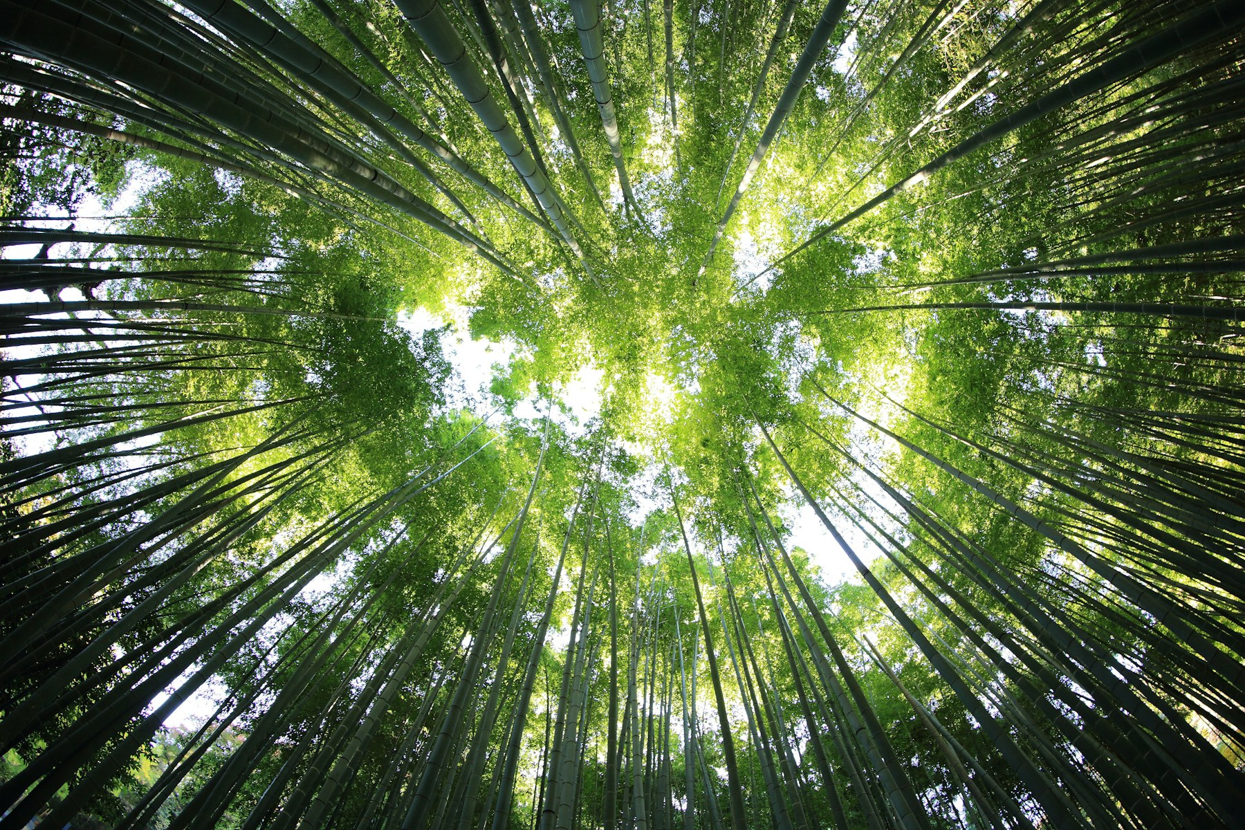 Parent and child in nature — outdoor discovery moment